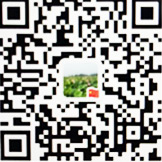 百度(xin)二維碼